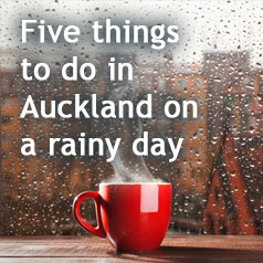 5-things-to-do-in-auckland-on-a-rainy-day-b
